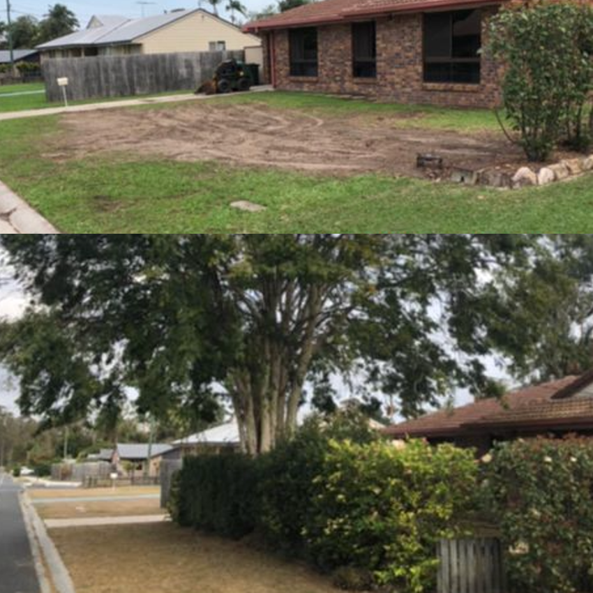 Stump grinding example 1