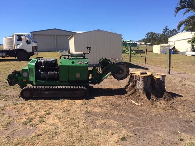 Why Stump Grinding is Essential for Your Yard